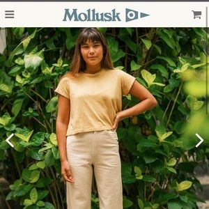 Mollusk Painter Pants